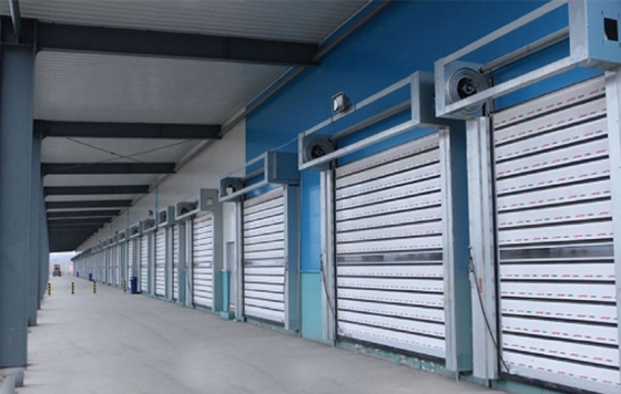 Personalizzazione Leggio di alluminio grigio veloce rotolamento e chiusura porta per la sicurezza del magazzino