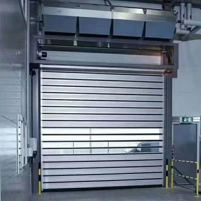 Personalizzazione Leggio di alluminio grigio veloce rotolamento e chiusura porta per la sicurezza del magazzino