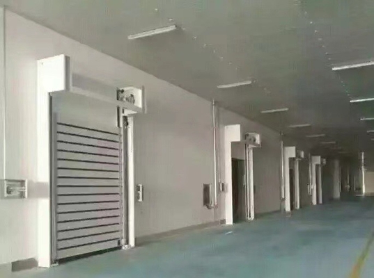 Porta di garage a rotazione veloce e chiusura a rotelle di sicurezza a spirale con spessore di 40 mm