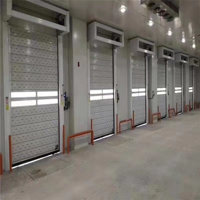 Porta automatica di garage ad alta velocità con peso lordo di 300.000 kg